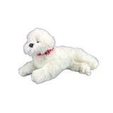 Bichon Frise - 38cm lying