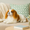 King charge Spaniel 40cm