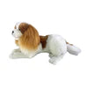 King charge Spaniel 40cm