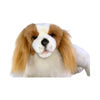 King charge Spaniel 40cm