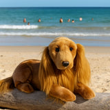 Cocker Spaniel - 40cm, lying  1.7kg