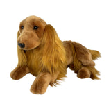 Cocker Spaniel - 40cm, lying  1.7kg