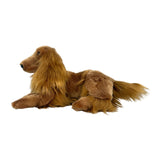 Cocker Spaniel - 40cm, lying  1.7kg