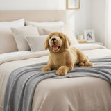 Golden Retriever - 50cm, lying, 1.8kg