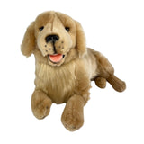 Golden Retriever - 50cm, lying, 1.8kg