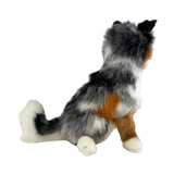Tricolour Border Collie weight 1.4kg