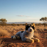 Cattle Dog- 62cm, lying 3.5kg