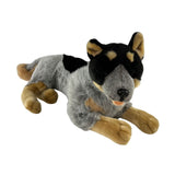 Cattle Dog- 62cm, lying 3.5kg