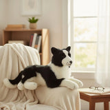 Border Collie - 62cm lying Weighted aprox 4kg