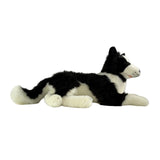 Border Collie - 62cm, lying,4+kg