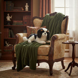Cavalier King Charles Spaniel - 40cm, lying, 0.8kg