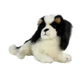 Cavalier King Charles Spaniel - 40cm, lying, 0.8kg