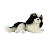 Cavalier King Charles Spaniel - 40cm, lying, 0.8kg