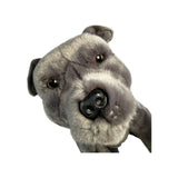 Grey Staffy Weighted 1.8kg