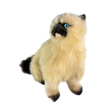 Cream Himalayan cat Size 38cm plush 1kg