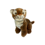 Tiger kitten