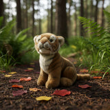 Tiger kitten