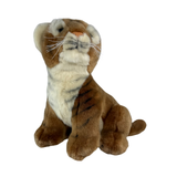 Tiger kitten
