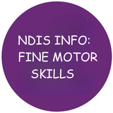 NDIS Info: Fine Motor Skills