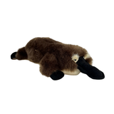 Platypus - 38cm, 1.5kg