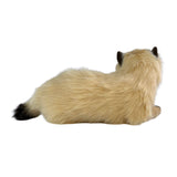 Himalayan Cat - 38cm, lying, 1.2kg