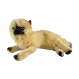 Himalayan Cat - 38cm, lying, 1.2kg