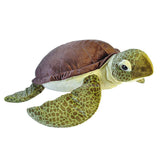 Sea Turtle