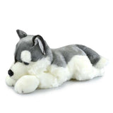 The Husky  45cm