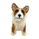 Corgi weighted aprox 1.2kg