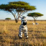 Zebra - 25cm aprox .5kg