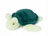 Weighted 1.8kg Turtle