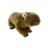 Wombat- 42cm (2kg)