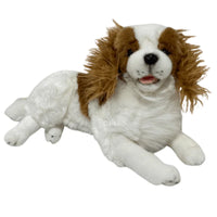 CAVALIER KING CHARLES SPANIEL 1.5kg Weighted