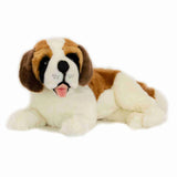 St Bernard   3.5kg