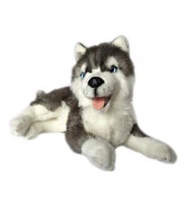 Weighted Plush Dog – Sensory Tools Australia