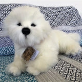 Bichon Frise - 38cm lying