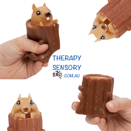 Squeeze squirrel from TherapySensory.com.au