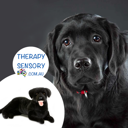 Weighted Black Labrador from TherapySensory.com.au