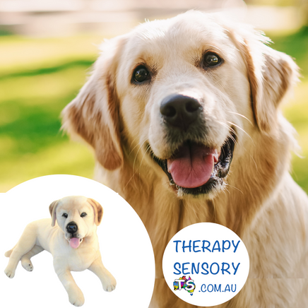 Weighted Golden Labrador from TherapySensory.com.au