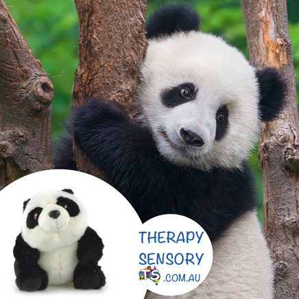 Panda from TherapySensory.com.au