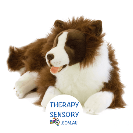 Chocolate Border Collie with pouch from TherapySensory.com.au displays the dog laying down.