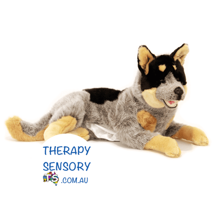 Blue Heeler from TherapySensory.com.au laying down.