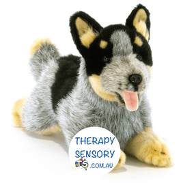 Blue cattle dog from TherapySensory.com.au laying on its tummy