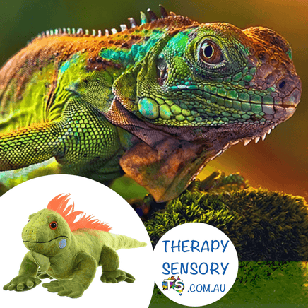Weighted Iguana from TherapySensory.com.au