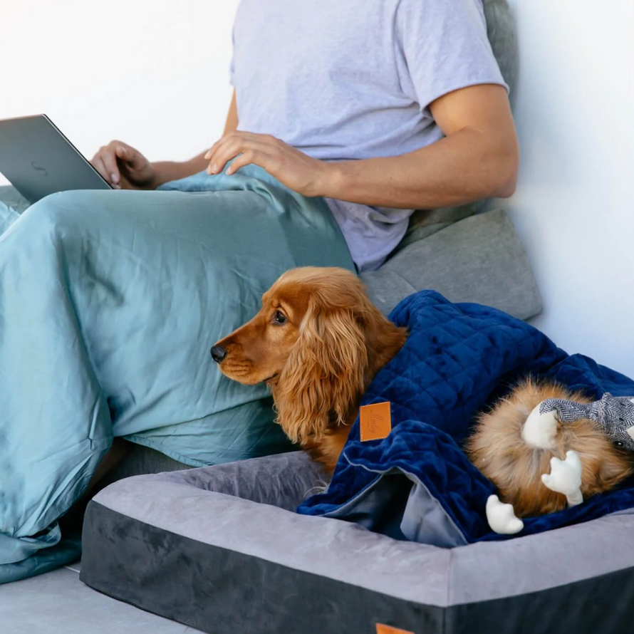 Weighted Blankets Therapy Sensory Shop