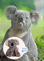 Koala 1.5kg can be heated