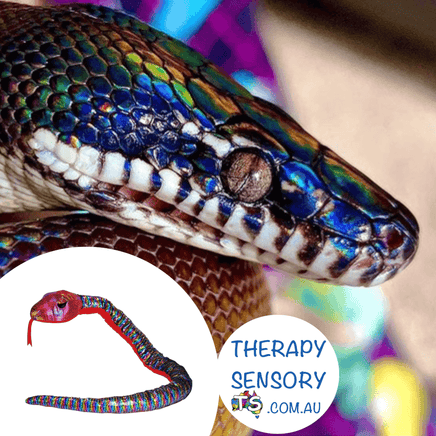 Weighted Rainbow Snake from TherapySensory.com.au