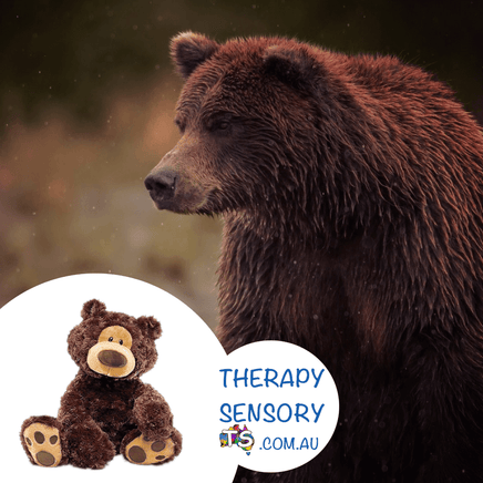 Weighted bear 2kg from TherapySensory.com.au