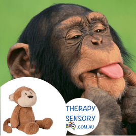 Weighted monkey 2kg from TherapySensory.com.au